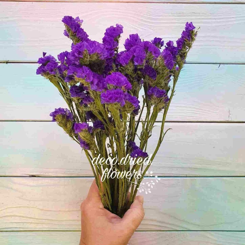 Букет Из Статицы Фото – Telegraph