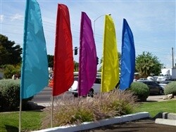 Feather Flag Preprinted Solid Color