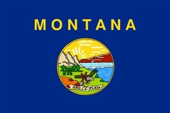 Montana Flag Monsoon, Size: 3'x5'