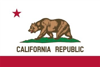 California Flag Nylon, Size: 12"x18"