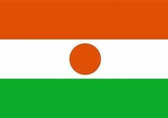 Niger Nylon Flag, Size: 2'x3'