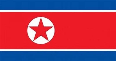 North Korea Nylon Flag