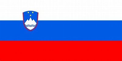 Slovenia Nylon Flag