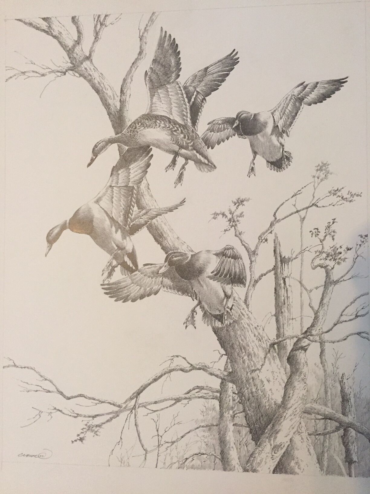 PENNSYLVANIA DELTA WATERFOWL CHAPTERS visual data 7