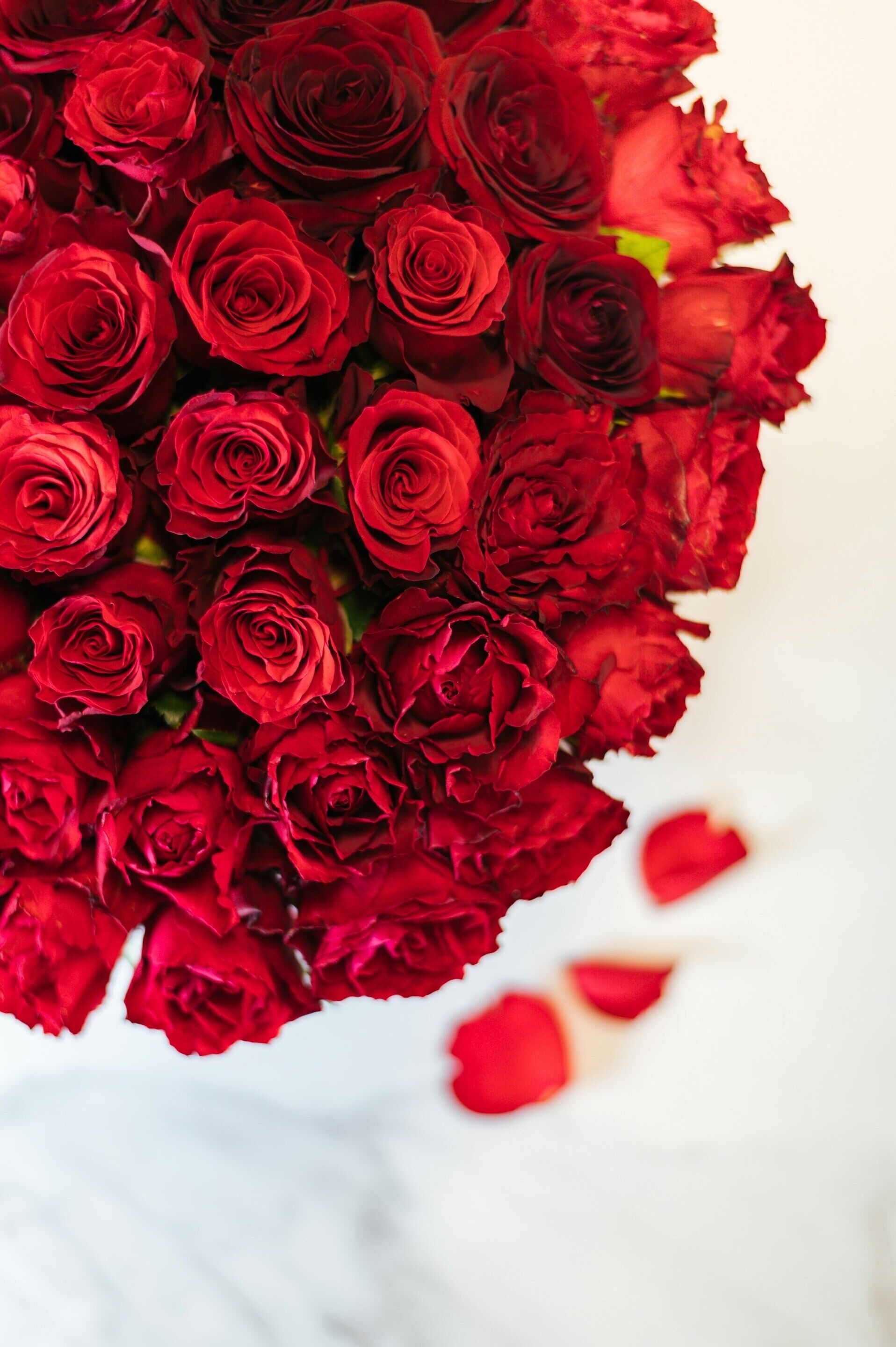 FLOWER MAD Shop Flowers Delivery to Egypt, Jordan & Lebanon Cairo
