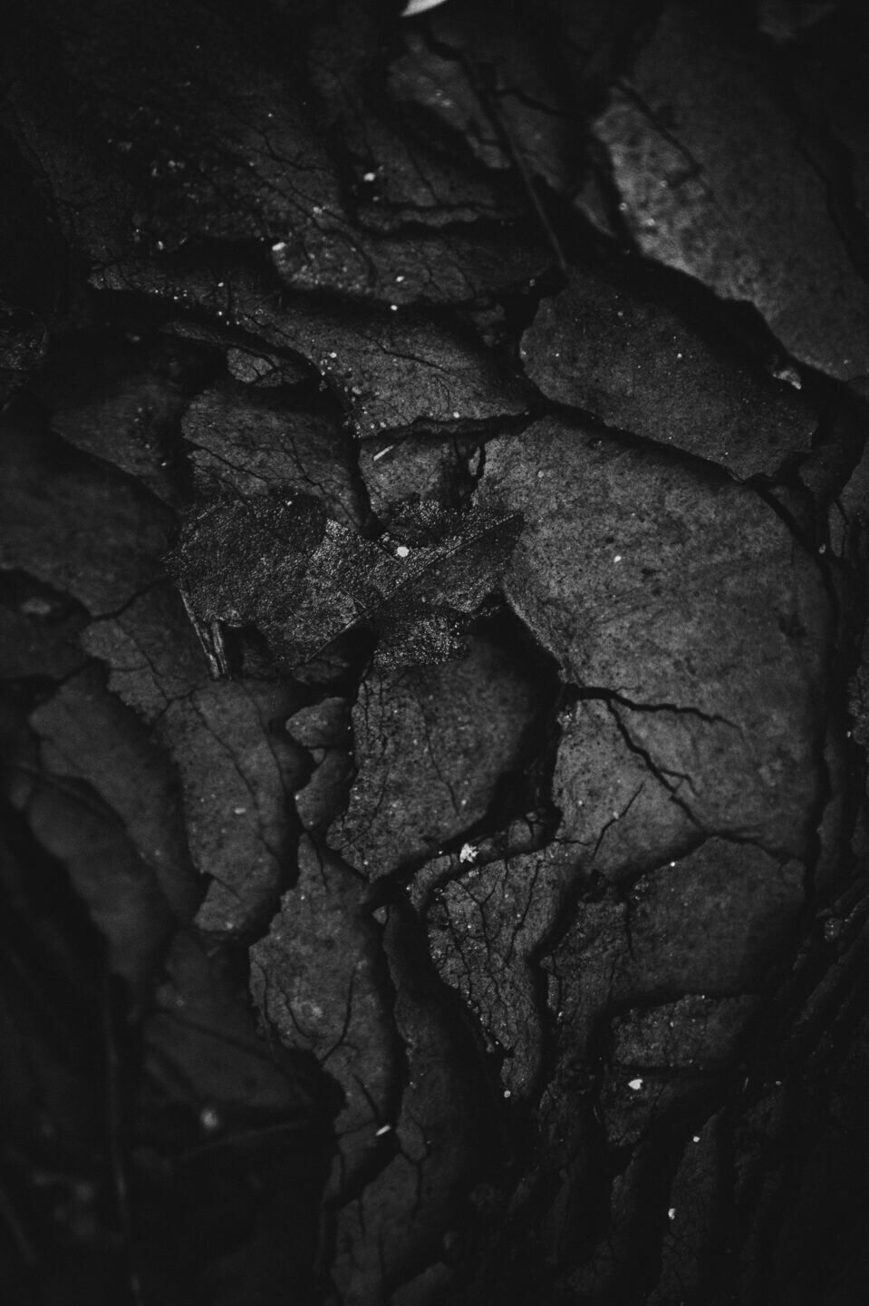 twistedcarbonbarrels.com