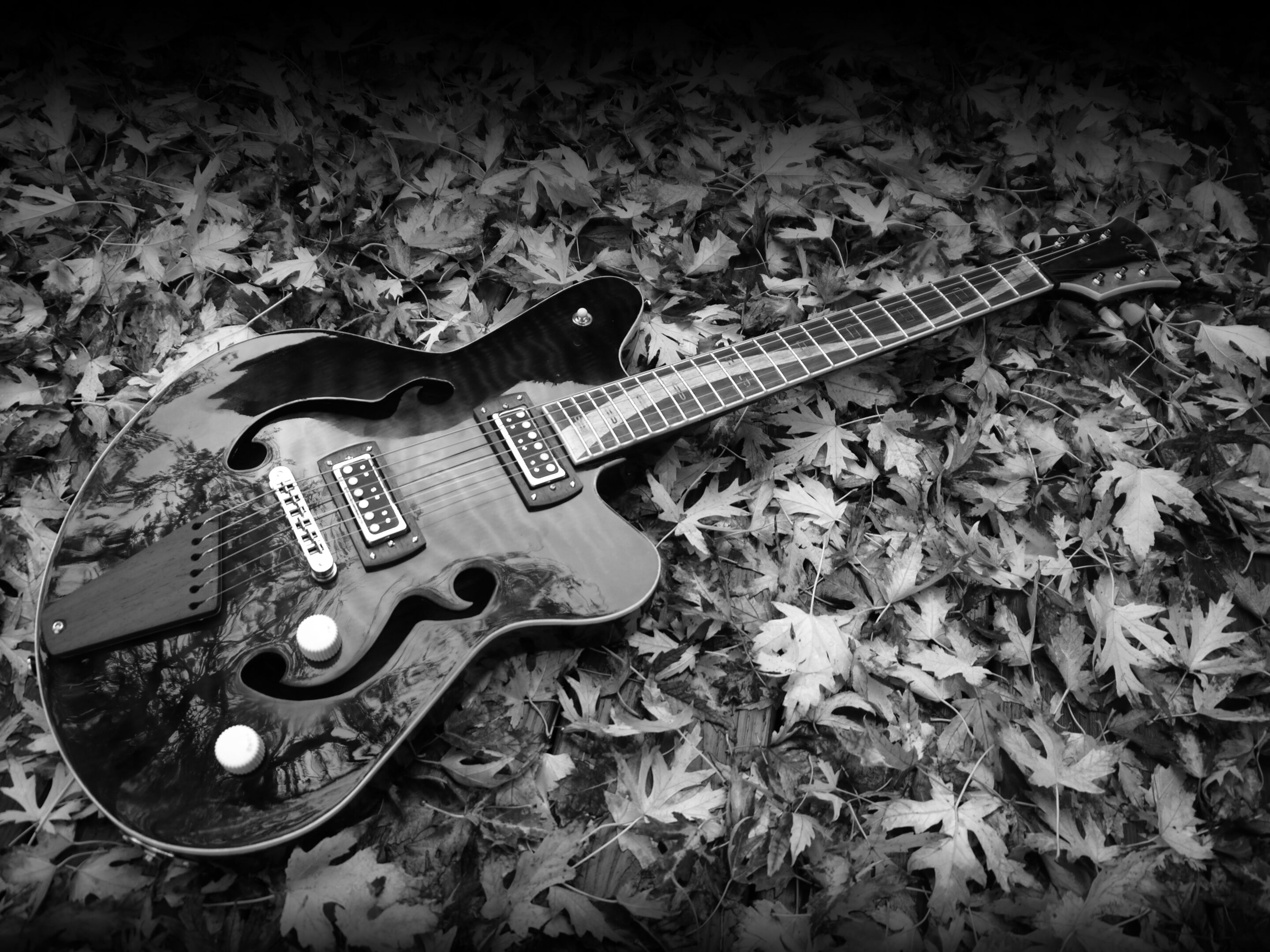 Guitars & Growlers Shop