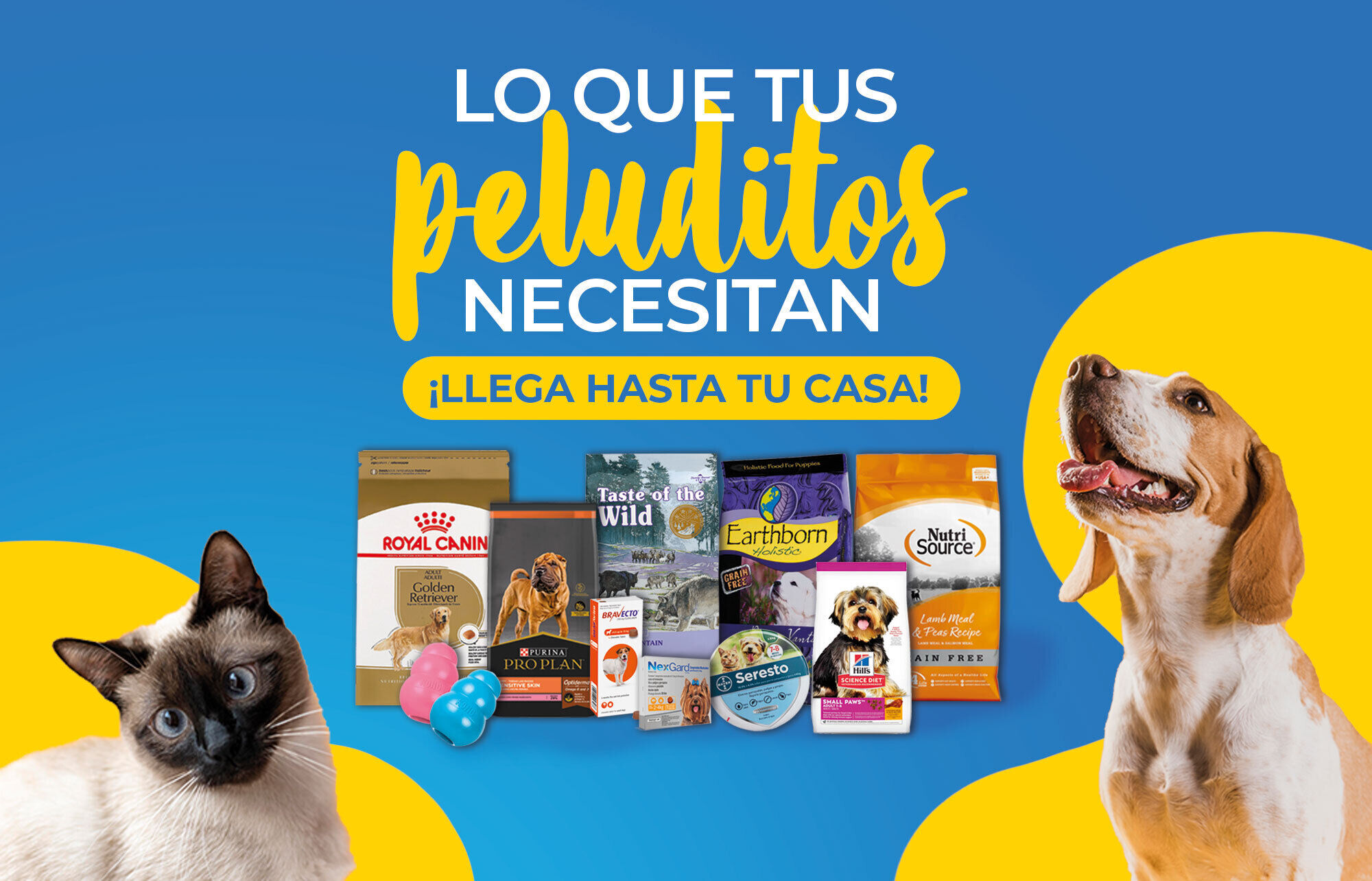 Peluditos Pet Shop Guatemala peluditos-pet-shop-guatemala