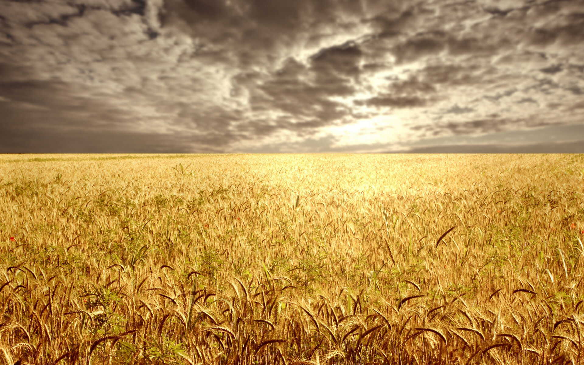 bread-of-life-food-pantry