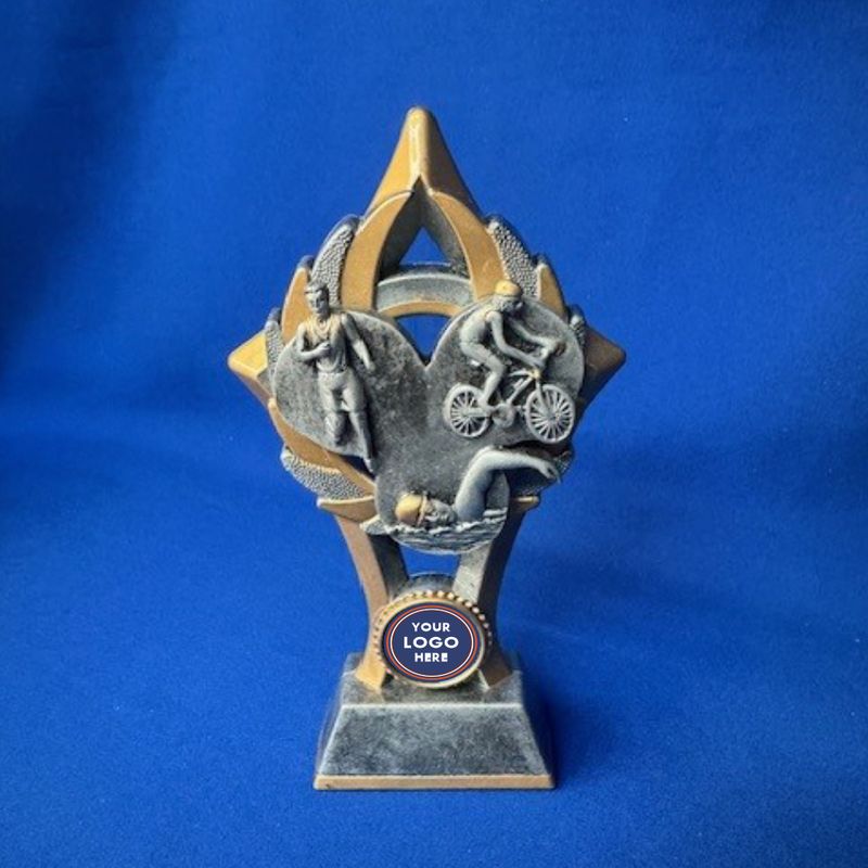 Triathlon FIN Series