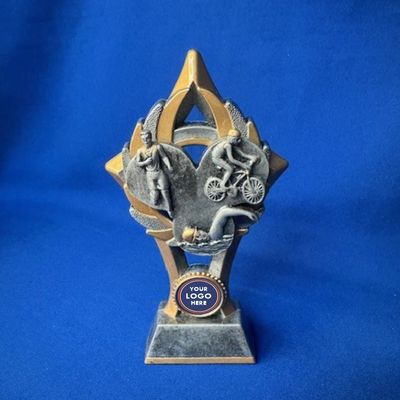 Triathlon FIN Series