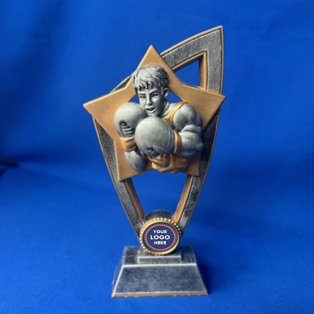 Boxing Trophy - FIN Series