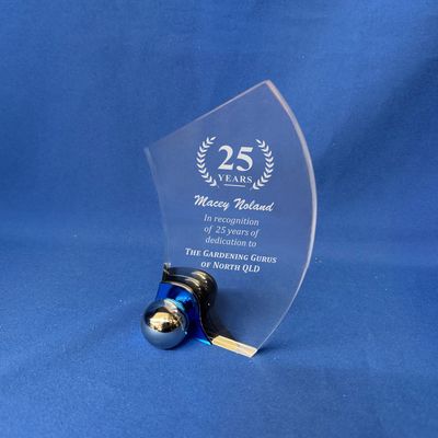 Acrylic Wave Stand - LIMITED STOCK Acrylic Wave Stand - LIMITED STOCK