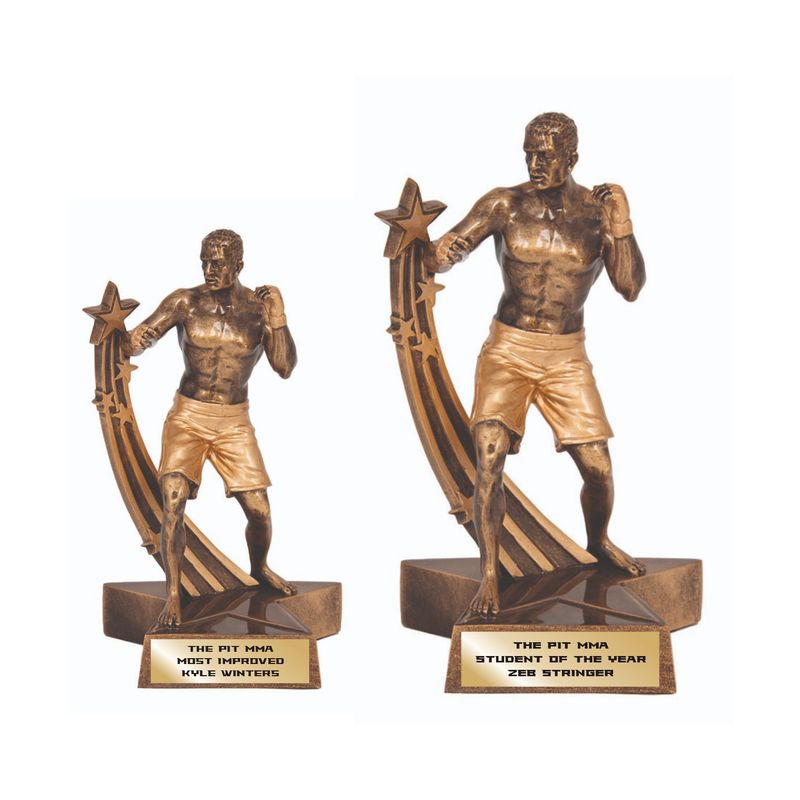 MMA / Mixed Martial Arts Resin Trophies - 2 sizes