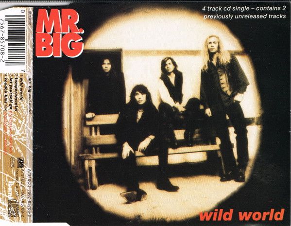 Mr. Big – Wild World