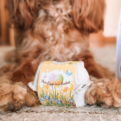 Cooka's Cookies Eggs in a Basket