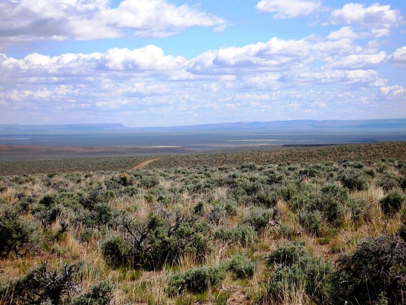 80 acres Oregon Outback with wide open vistas