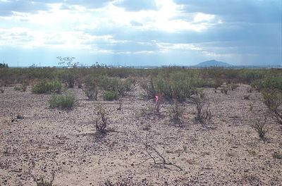 1/2 acre near Rock Hound State Park and Florida Mountains- Camp RV Build Mobiles Ok