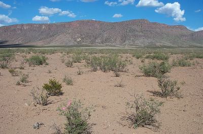 1/2 acre near Rock Hound State Park and Florida Mountains- Camp RV Build Mobiles Ok