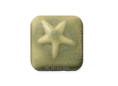 MS-38 - Fern Mist (Dry)