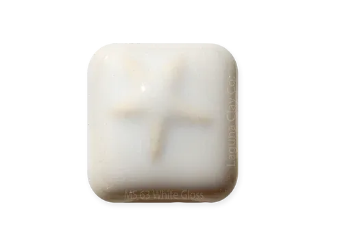 MS-63 - White Gloss (Dry)