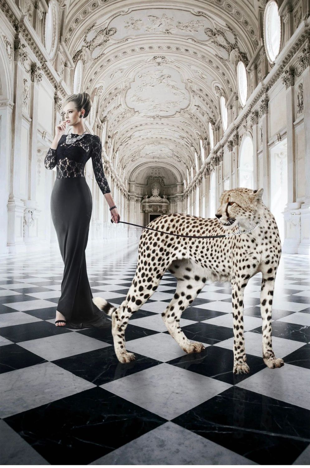 Glasschilderij 80 x 120 cm | Stijl, Kracht &amp; Klasse