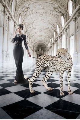 Glasschilderij 80 x 120 cm | Stijl, Kracht &amp; Klasse