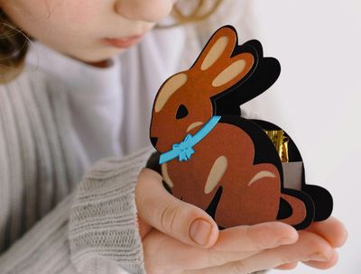 Chocolate Easter Bunny Box SVG