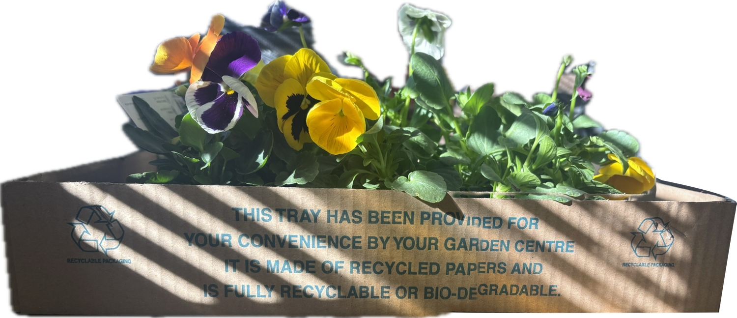 Cardboard Garden Centre Trays