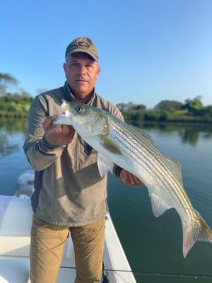 9/1/23 Not So Blue Moon