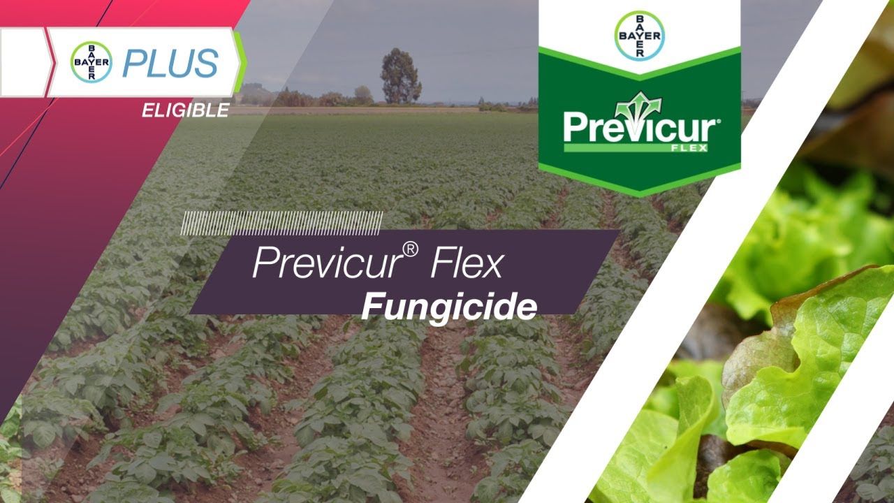 Previcur Flex (Bayer)