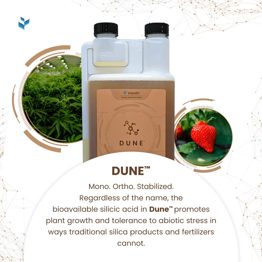 Dune (Impello Biosciences)