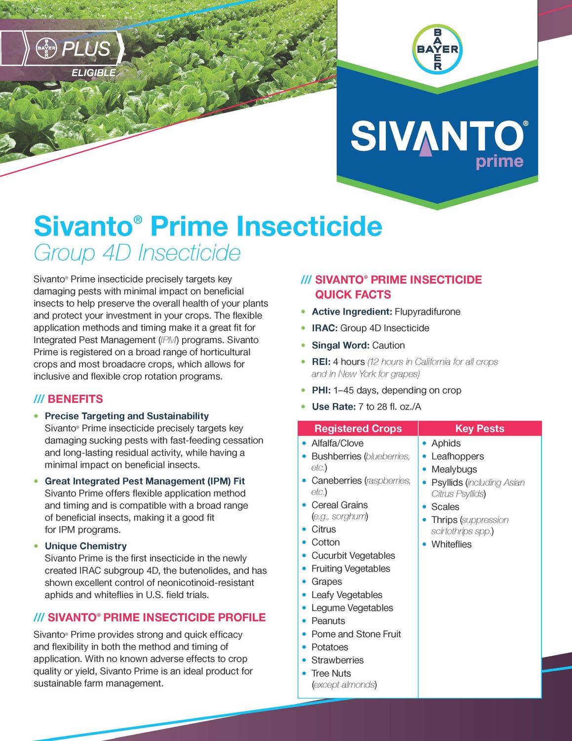 Sivanto Prime (Bayer)