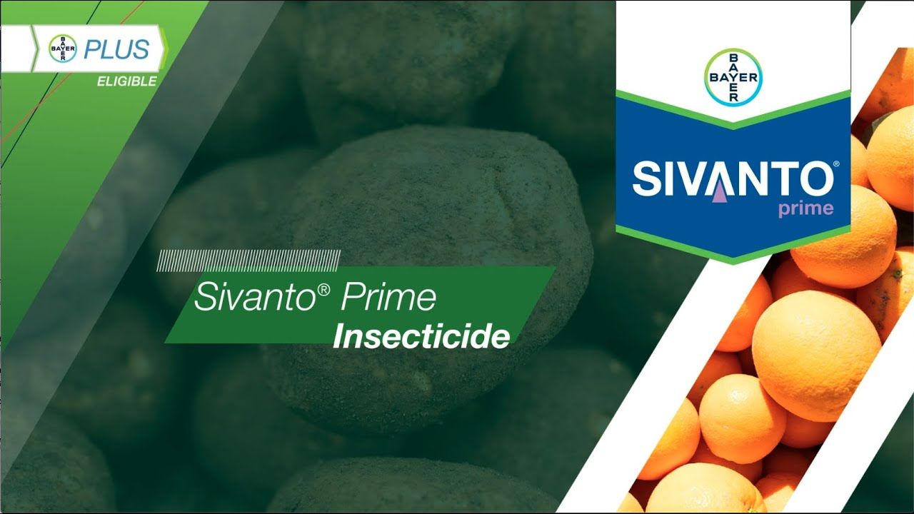 Sivanto Prime (Bayer)
