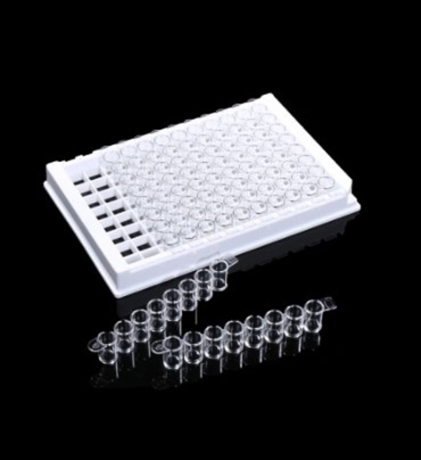 10.4 ml 24-well Deep Well Plate, U-Bottom, Square well, non-sterile, 5/pk, 50/cs