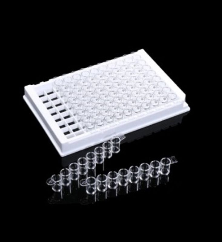 10.4 ml 24-well Deep Well Plate, U-Bottom, Square well, non-sterile, 5/pk, 50/cs