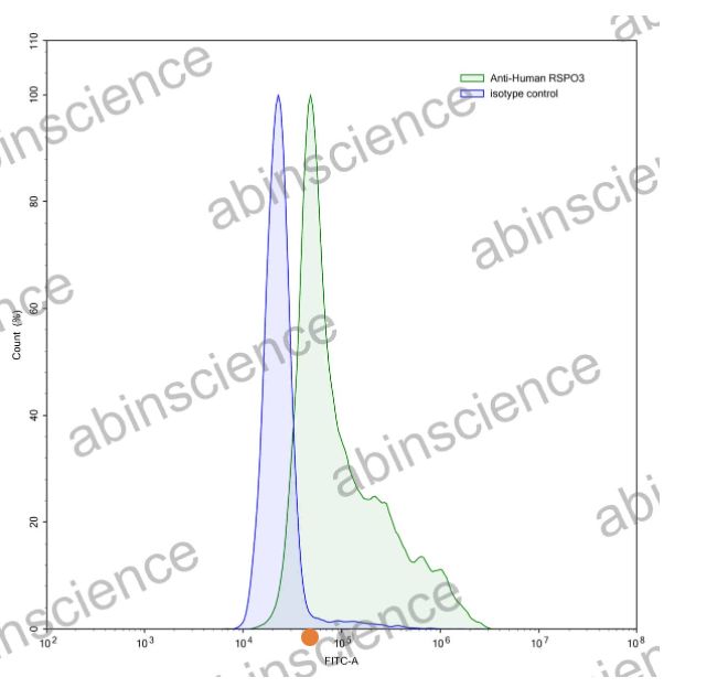 AbinScience InVivoMAb Anti-Human R-Spondin 3 Antibody (Iv0181) (HV514010-1MG)