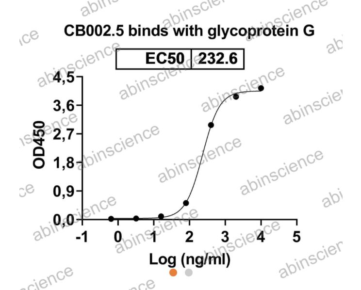 AbinScience InVivoMAb Anti-RSV G/Major surface glycoprotein G Antibody (CB002.5) (VK562010-1MG)
