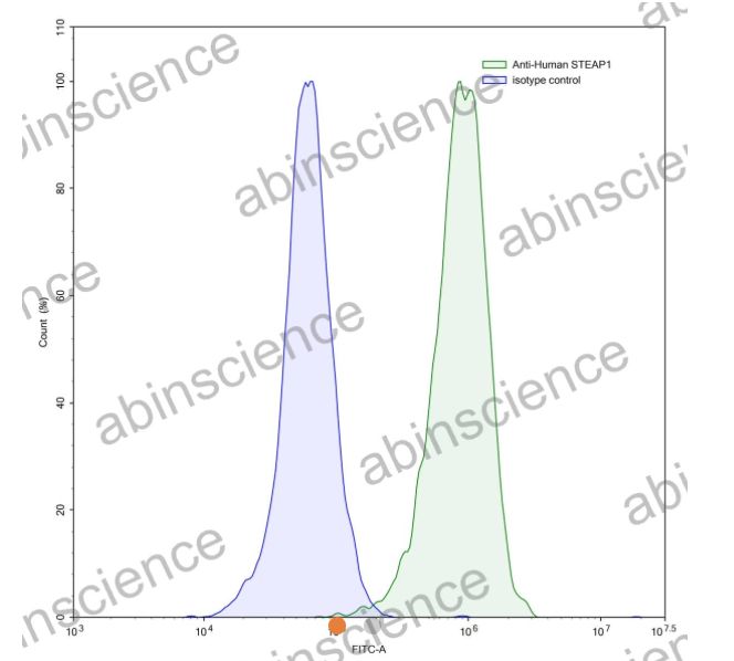 AbinScience InVivoMAb Anti-Human STEAP1 Antibody (Iv0158) (HV409010-1MG)