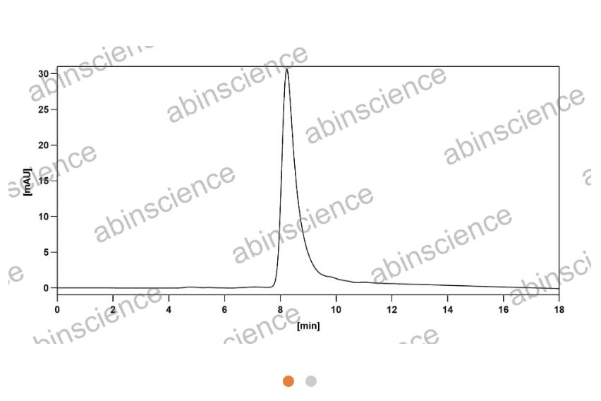 AbinScience InVivoMAb Anti-Human CTGF/CCN2 Antibody (Iv0075) (HB719010-1MG)