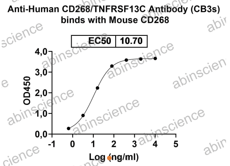 Abinscience InVivoMAb Anti-Human BAFFR/TNFRSF13C Antibody (CB3s) (HV599010-1mg)