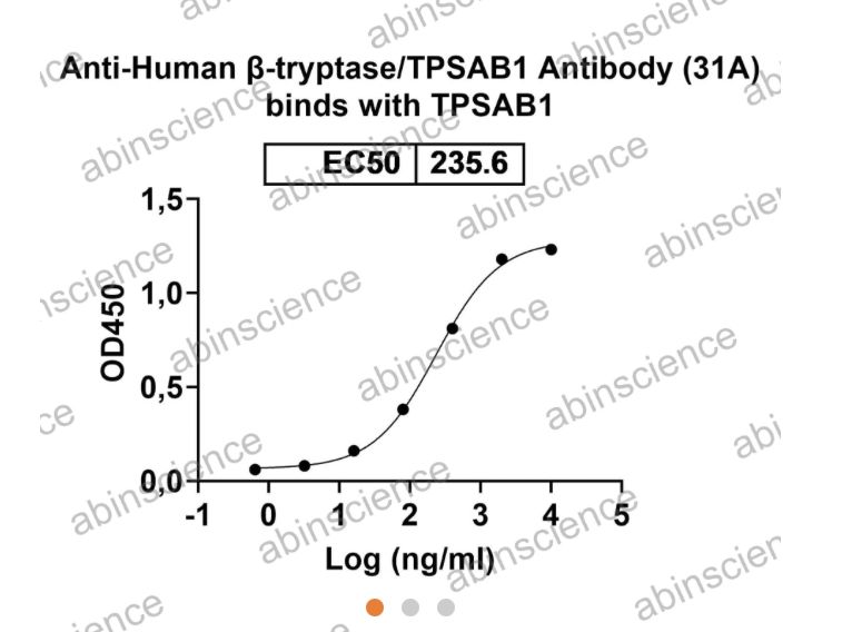 Abinscience InVivoMAb Anti-Human Tryptase alpha/beta1 Antibody (31A) (HS931010-1mg)