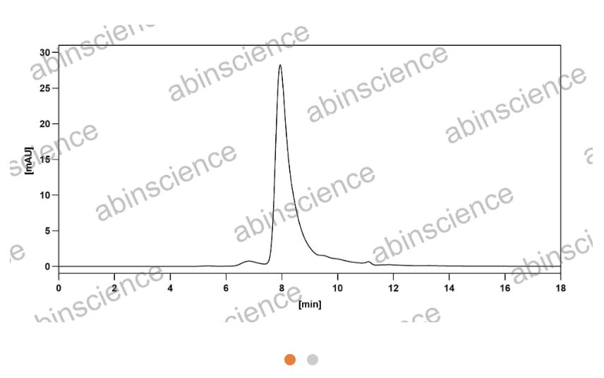 Abinscience Anti-Human APP Recombinant Antibody (21F12) (HP849013)