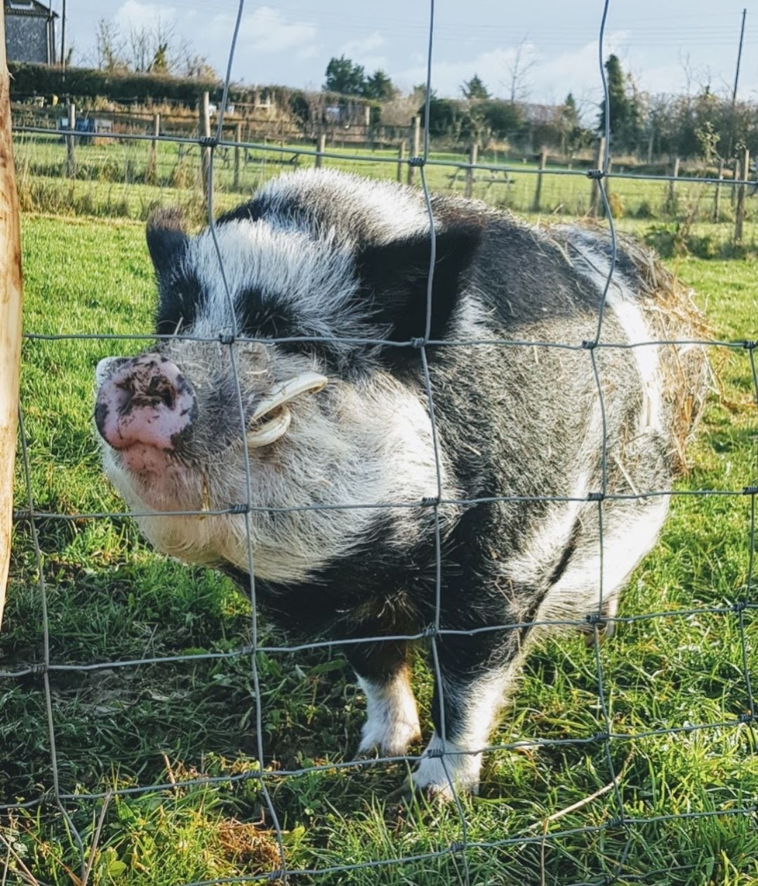 Easter Holiday Little Farmer Club