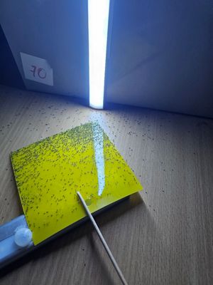 Stop Fungus Gnats for Good: Simple, Effective Treatment That Works
