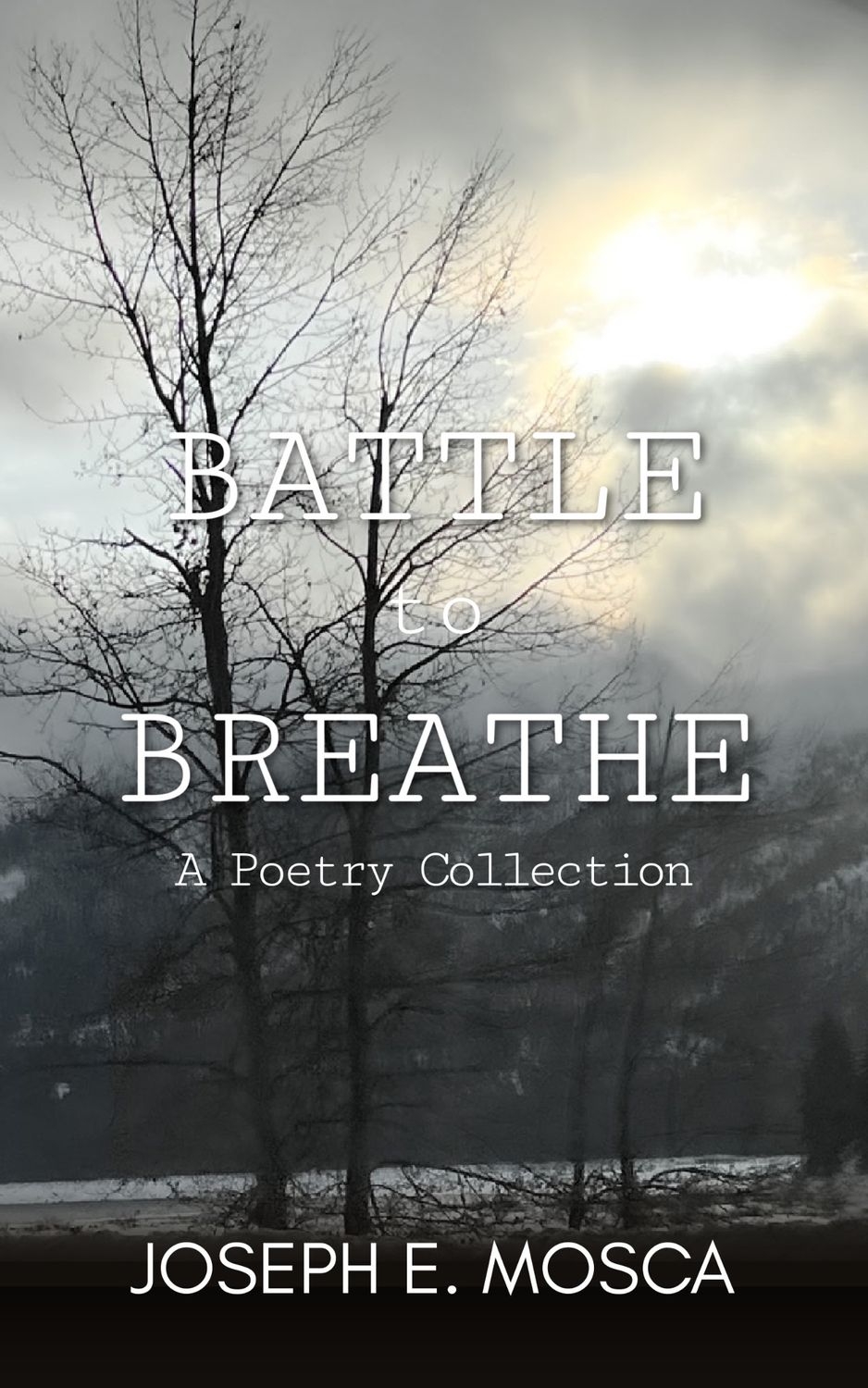 Battle to Breathe: A Poetry Collection by Joseph E. Mosca