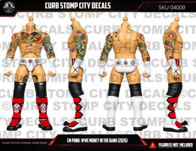 CM Punk: WWE Money in the Bank (2026)