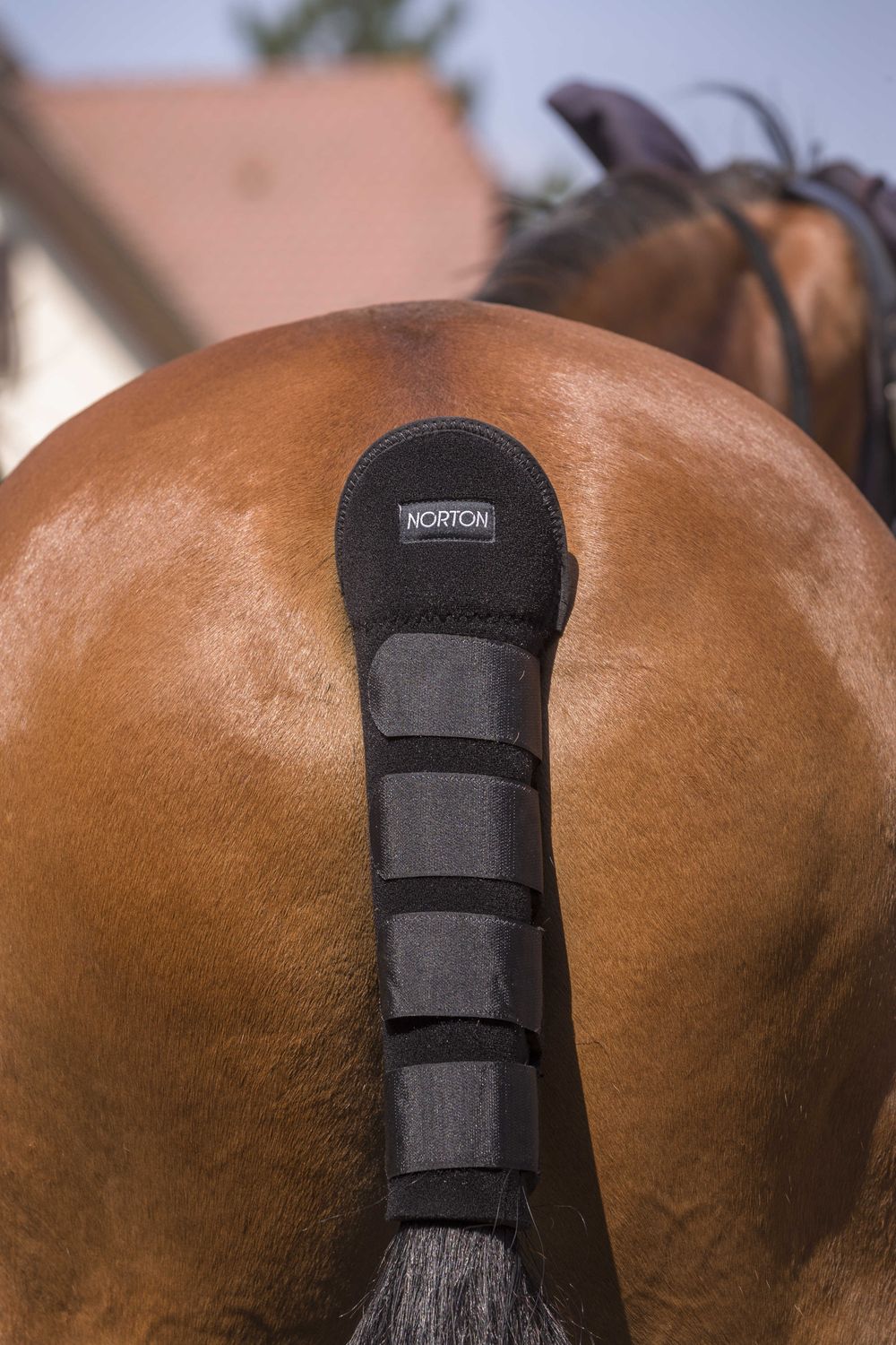 Staartbeschermer Zwart