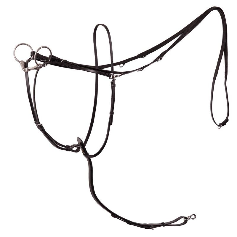 BR Thiedeman Lancaster  Zwart