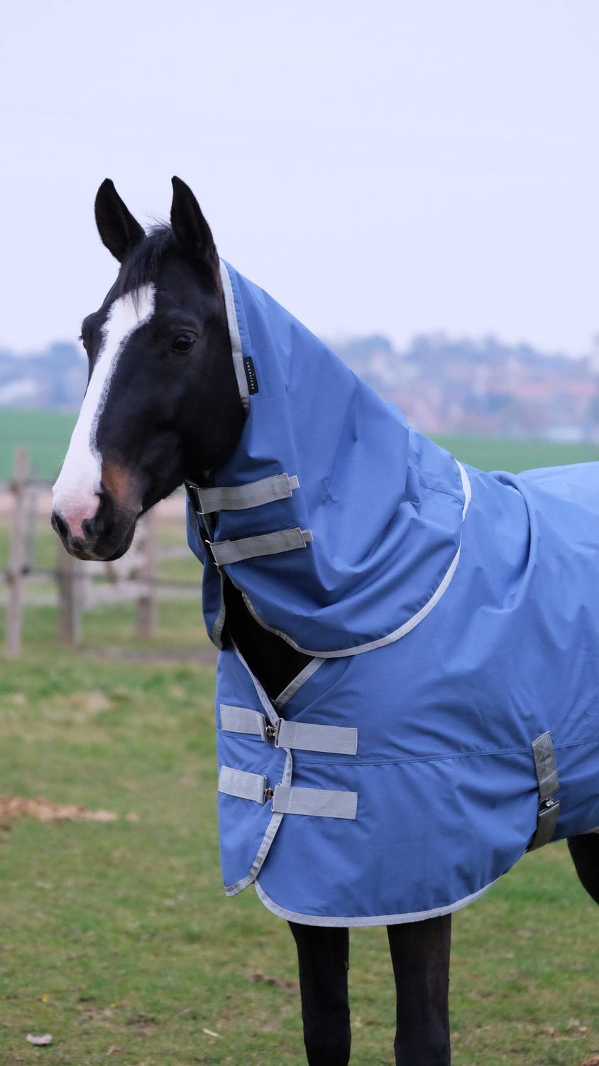 Oudoordeken 0 gr met hals